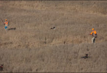 Field-Gun Showdown: Semiautos From Weatherby and Escort