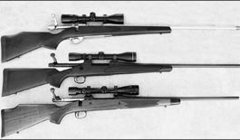 .270 Bolt Actions: Weatherby Vanguard Wins Accuracy Battle