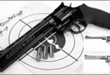 Long-Barreled .44 Magnum Revolvers: Bravo for the Bull
