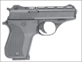 .22 Automatic Pistol