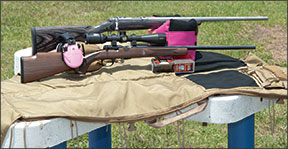 17 hmr rifles