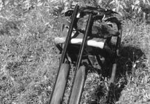 20-Gauge Autos: Browning Gold, Beretta AL390 Run Dead Heat