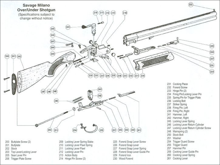 Savage Milano Shotgun