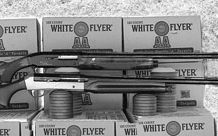 Semi-Auto Shotguns: Browning Gold Sporting Beats Benelli