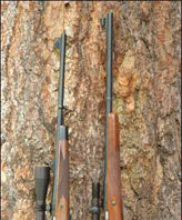 Two 375 H&H Magnum Rifles: Winchester Versus Remington