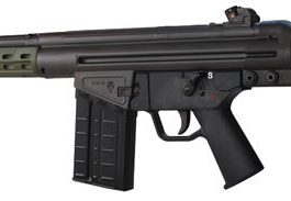 308 Win. Battle Rifle Shoot Out: Century Arms C91 Vs. PTR-91