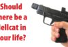 Should There Be a Hellcat in Your Life?
