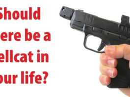 Should There Be a Hellcat in Your Life?