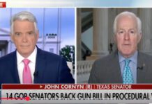 Gun Rights Key to Texas U.S. Senate Republican Primary Battle