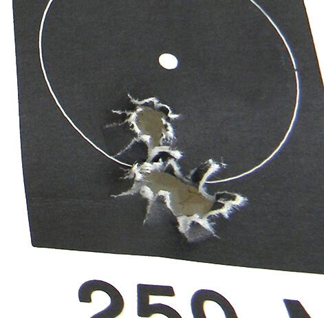 Top 10 Lower-Recoil Hunting Rifles for 2025