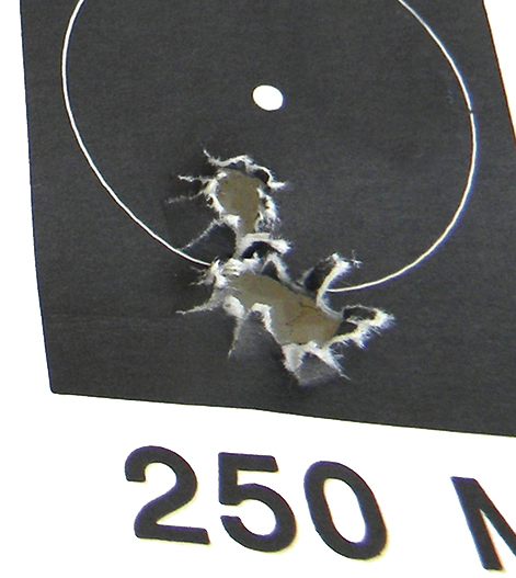 target CZ 600 Alpha Rifle 7403 762x39 14 copy