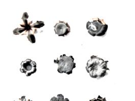 Best 9mm Luger Handgun Ammunition Choices